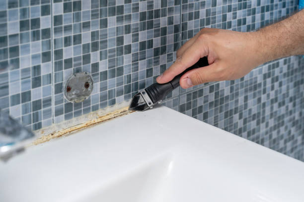 Best Residential Mold Removal  in Solvay, NY