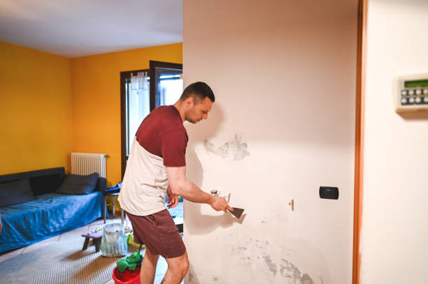 Best Best Mold Removal Companies  in Solvay, NY